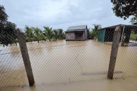 Các tỉnh từ Quảng Bình đến Khánh Hòa tiếp tục chống chọi đợt mưa lớn kéo dài