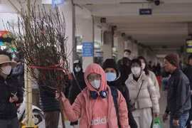 Vác cành đào, mang túi quà rời Thủ đô về quê ăn Tết