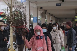 Vác cành đào, mang túi quà rời Thủ đô về quê ăn Tết