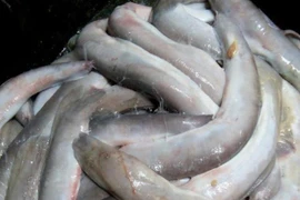 3 thứ nhìn đã thấy sợ ở Việt Nam thành đặc sản đắt đỏ, bán kiếm tiền triệu