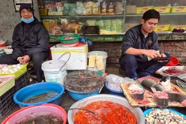 Chép cúng ông Công ông Táo mỏi mắt chờ khách 