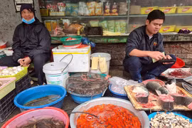 Chép cúng ông Công ông Táo mỏi mắt chờ khách 