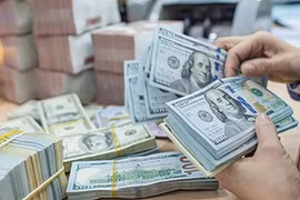 Tỷ giá USD hôm nay 10/11/2024: Có tăng?