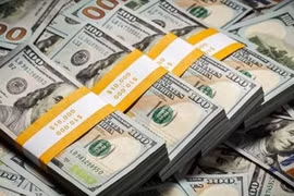 Tỷ giá USD hôm nay 22/11/2023: Suy yếu, lao dốc?