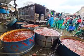 Bất chấp dịch COVID-19, cá chép tiễn Táo quân nhất quyết “không giảm giá“