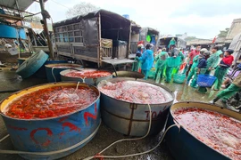 Bất chấp dịch COVID-19, cá chép tiễn Táo quân nhất quyết “không giảm giá“