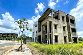 Phúc Khang Sen Việt L.A nợ thuế gần 100 tỷ “ôm” dự án nào?