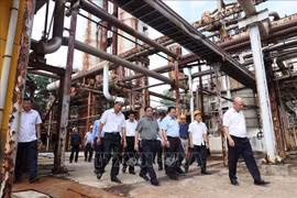 Thủ tướng khảo sát Dự án cải tạo, mở rộng Nhà máy sản xuất đạm Hà Bắc