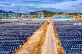 Có dự án điện lọt tầm ngắm điều tra, hệ sinh thái Trung Nam, ACIT thế nào?