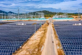 Có dự án điện lọt tầm ngắm điều tra, hệ sinh thái Trung Nam, ACIT thế nào?