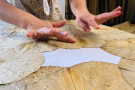 Lấy lá sen về vẽ, 8X bán cả chục triệu đồng một bức tranh 