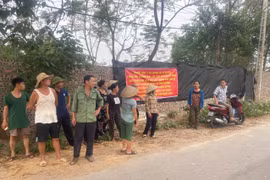 Phú Thọ: Lập đoàn kiểm tra, xử lý trại lợn gây ô nhiễm 