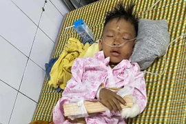 Hòa Bình: Sạt lở đất ở Kim Bôi, 2 người chết 