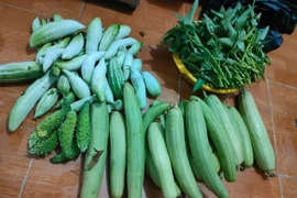 Lương 30 triệu cuối tháng hết sạch, vợ chồng trẻ xin “viện trợ” quê