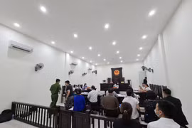 Phúc thẩm tranh chấp Cty TDS - Trường Newton: Vì sao tòa chưa tuyên án?