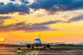 Hiện nay Việt Nam có bao nhiêu sân bay quốc tế?