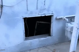 Nghe tiếng động lạ, gia đình lập tức báo cảnh sát và cái kết