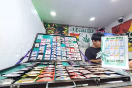 Mục sở thị cần sa bán khắp đường phố Pattaya, Thái Lan 