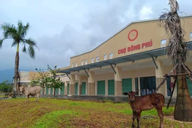 Vì sao thanh tra 5 dự án bất động sản ở Quảng Nam?