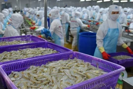 Thành viên HĐQT nhận lương tiền tỷ, Thủy sản Minh Phú làm ăn sao?