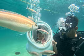 Lặn biển ngắm san hô ở Cô Tô 