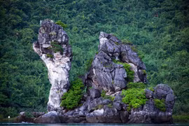 Thêm tour tham quan rừng trâm cổ ở Vườn Quốc gia Bái Tử Long