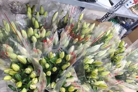 Loại hoa ly siêu đắt đỏ, chị em Hà thành ráo riết săn lùng