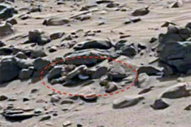 Bí ẩn bộ xương dài gần 2m nghi của người ngoài hành tinh 