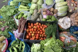 ‘'Choáng’ với độ an toàn thực phẩm chợ đầu mối