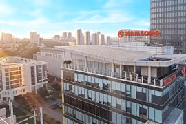 Chưa tạm ứng cổ tức 2024, Tập đoàn Nam Long lời lãi thế nào?