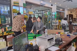 Chè Thái Nguyên bán ra vèo vèo dịp Tết