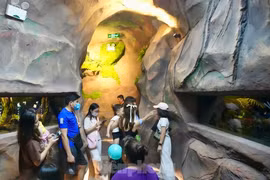 Xếp hàng khám phá 'thủy cung không nước' tại Hà Nội