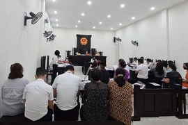 Cty TDS - Trường Newton: Luật sư đề nghị vô hiệu hợp đồng ngày 23/01/2017