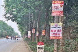 Sốt đất “điên đảo” từ Bắc vào Nam: Nguy cơ vỡ "bong bóng" bất động sản