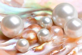 Khám phá những sự thật ít biết về lịch sử ngọc trai