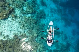 Ngắm rạn san hô lớn nhất thế giới vào mùa sinh sản