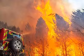 Tây Âu bốc cháy: 238 người chết vì nóng, 15.000 người sơ tán