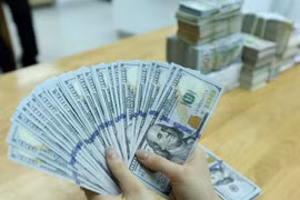 Tỷ giá USD hôm nay 12/2/2025: Có tiếp tục tăng?