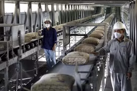 'Ông lớn' xin măng VICEM báo lỗ tới 863 tỷ đồng 