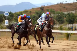 Nghiên cứu loại hình cá cược mới đáp ứng tình hình thực tiễn