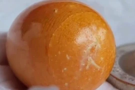 Người phụ nữ phát hiện “viên đá lạ” trong con ốc biển