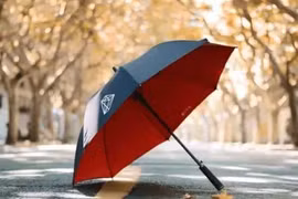 Nếu bạn cho đi sáu thứ, bạn sẽ mất tiền và mất tình