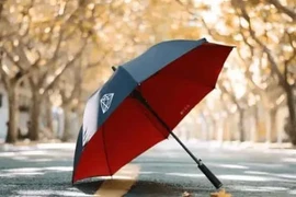 Nếu bạn cho đi sáu thứ, bạn sẽ mất tiền và mất tình