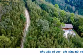 Khám phá rừng trúc Bản Phường 