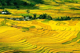 Thời tiết càng mát mẻ, vận khí của 4 con giáp này càng khởi sắc