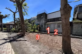 Xôn xao chuyện tự ý chặt cây trong công viên vì "án ngữ" cửa nhà kỵ phong thuỷ