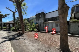 Xôn xao chuyện tự ý chặt cây trong công viên vì "án ngữ" cửa nhà kỵ phong thuỷ