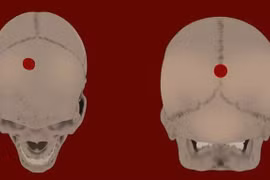 Hài cốt thiếu nữ tiết lộ thứ quyền lực rùng rợn của đế chế Inca
