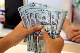 Tỷ giá USD hôm nay 11/11/2024: Tuần mới có khởi sắc?