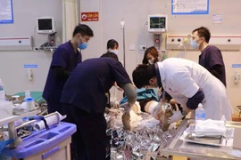 Chó pitbull tấn công 2 người nhập viện trong 2 ngày liên tiếp